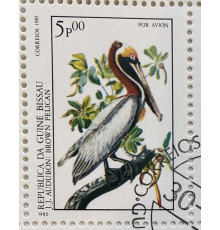 Гвинея Бисау , марка . Коричневый пеликан . Фауна . 1985 год .