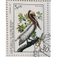Гвинея Бисау , марка . Коричневый пеликан . Фауна . 1985 год .
