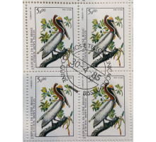 Гвинея Бисау , кварталов  . Коричневый пеликан . Фауна . 1985 год .