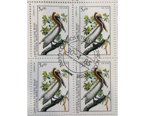 Гвинея Бисау , кварталов  . Коричневый пеликан . Фауна . 1985 год .