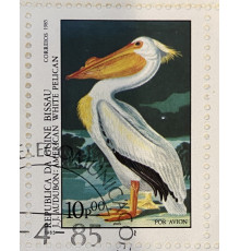 Гвинея Бисау , марка . Американский белый попугай  . Фауна . 1985 год .