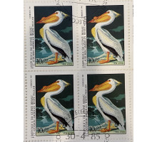 Гвинея Бисау , квартблок  . Американский белый попугай . Фауна . 1985 год .