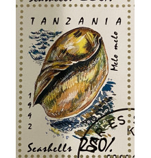 Танзания , марка . Серия морские раковины и моллюски . 