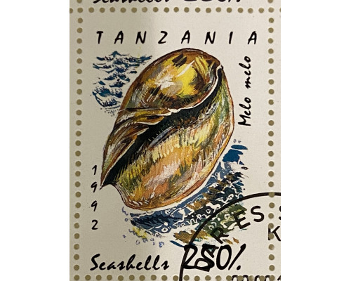 Танзания , марка . Серия морские раковины и моллюски . 